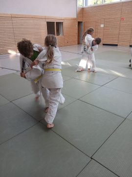 Judo - Grundlagen-Workshop in Wurf-Boden-Techniken, Fallschule