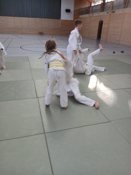 Judo - Grundlagen-Workshop in Wurf-Boden-Techniken, Fallschule